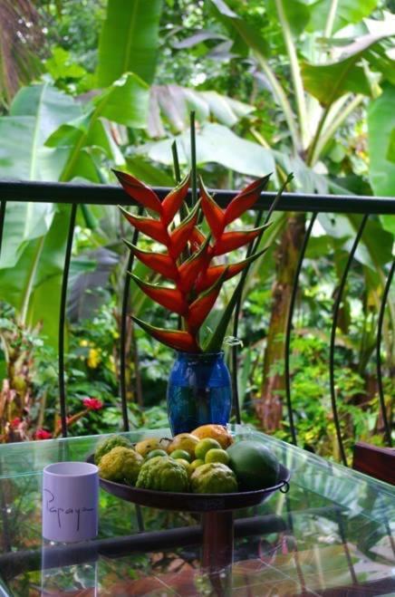 Papayas Self Catering Room 维多利亚 外观 照片