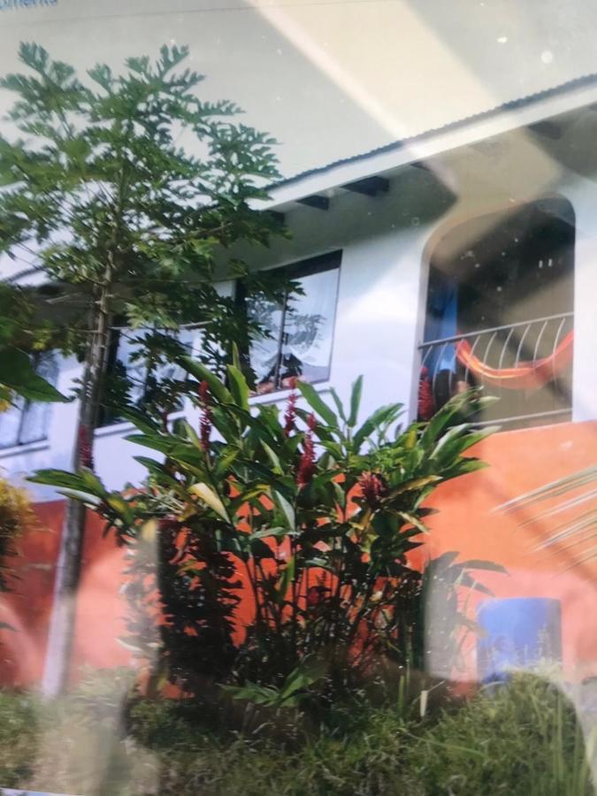 Papayas Self Catering Room 维多利亚 外观 照片