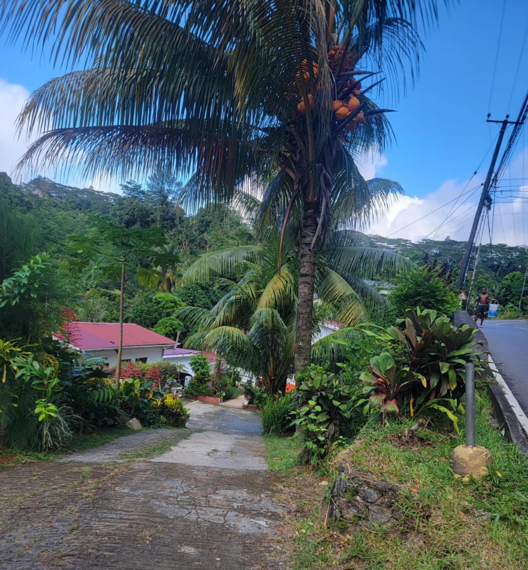 Papayas Self Catering Room 维多利亚 外观 照片